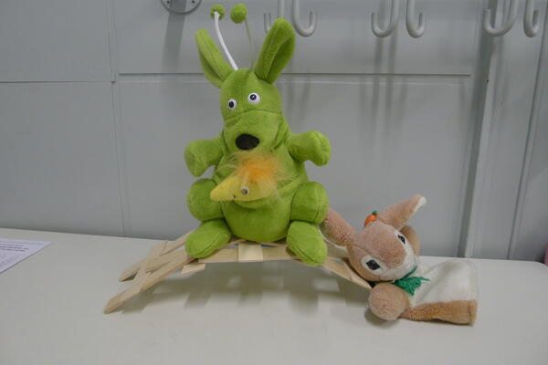 Prima! Unsere Leonardo - Brücke trägt sogar Kari und Bu.